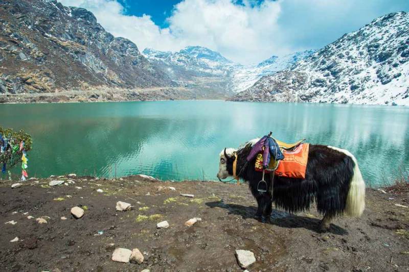 Eastern Himalayas 5 Nights 6 Days