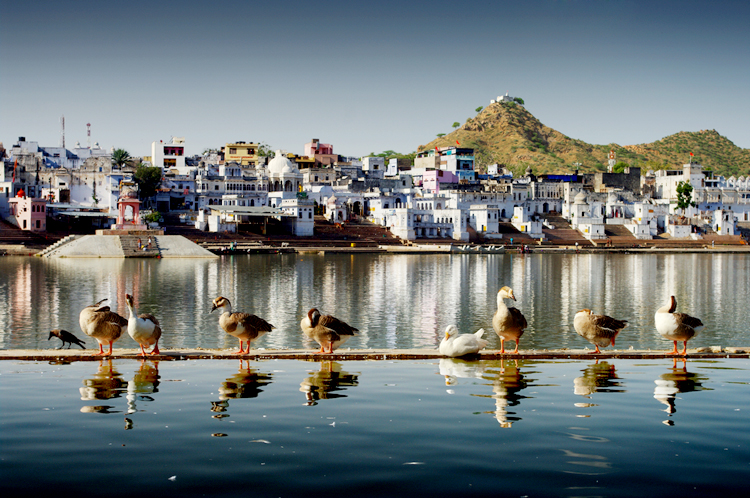 5 Nights-6days Delhi, Agra, Jaipur, Delhi with Ajmer & Pushkar Tour