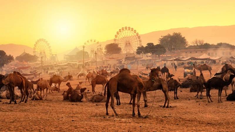 5 Nights-6days Delhi, Agra, Jaipur, Delhi with Ajmer & Pushkar Tour