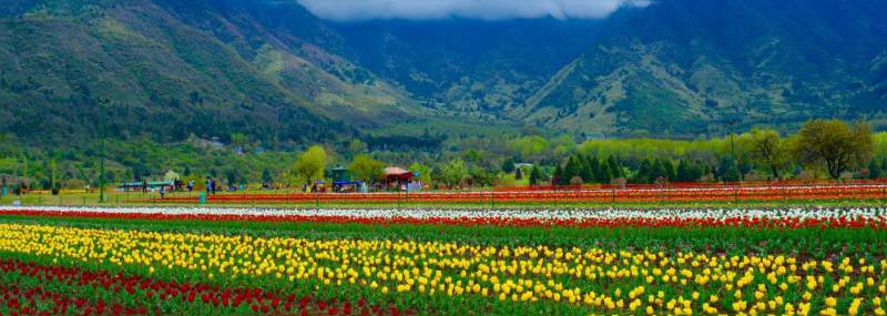 6 Nights- 7days Kashmir Honeymoon Trip Tour