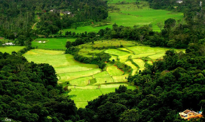 Mysore - Coorg - Ooty Tour
