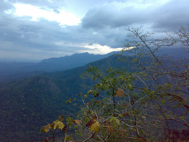 Mysore - Coorg - Wayanad Tour