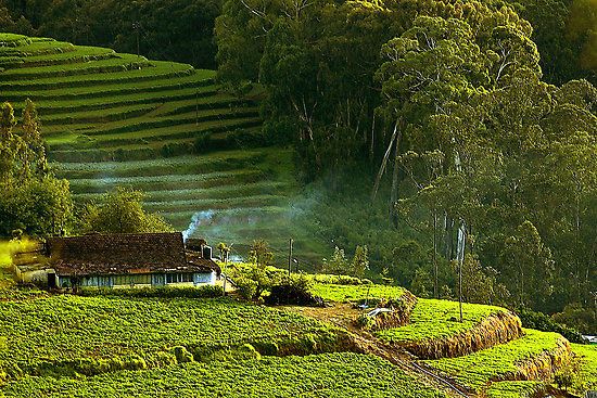 Bangalore - Mysore - Ooty - Kodaiknal Tour