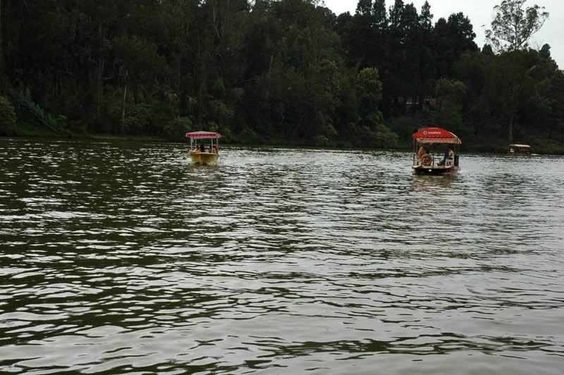 Bangalore - Mysore - Ooty - Kodaikanal Tour