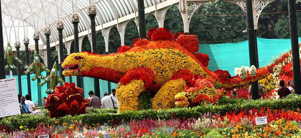 Bangalore - Mysore - Coorg - Ooty - Kodaikanal Tour