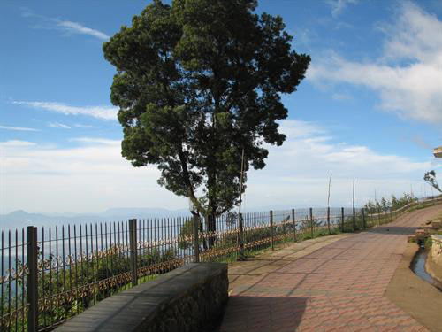 Bangalore - Mysore - Coorg - Ooty - Kodaikanal Tour