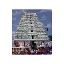 Navagraha - Panchaboothangal Tour - Tamilnadu - Andhra Pradesh - Pondicherry Tour