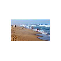 Tamilnadu - Karnataka Tour - 7 Days