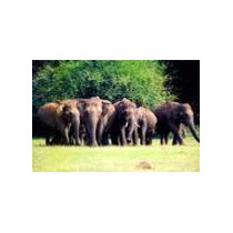 Tamilnadu Kerala - 8 Days Tour