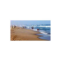 Tamilnadu Kerala - 8 Days Tour