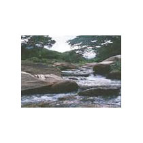 Honeymoon Tour of Tamilnadu - Karnataka 10 Days