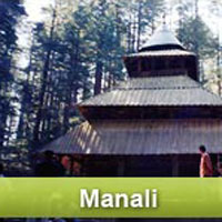 Delhi - Shimla - Manali - Delhi Tour