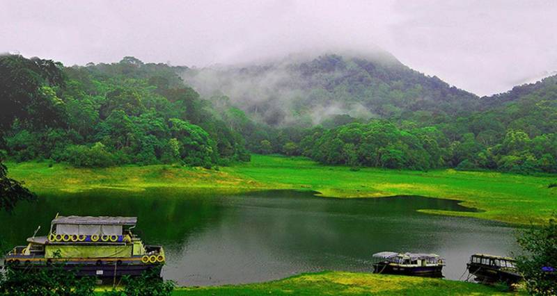 5 Night 6 Days Kerala Package Green Valley Wildlife With Backwater Packages