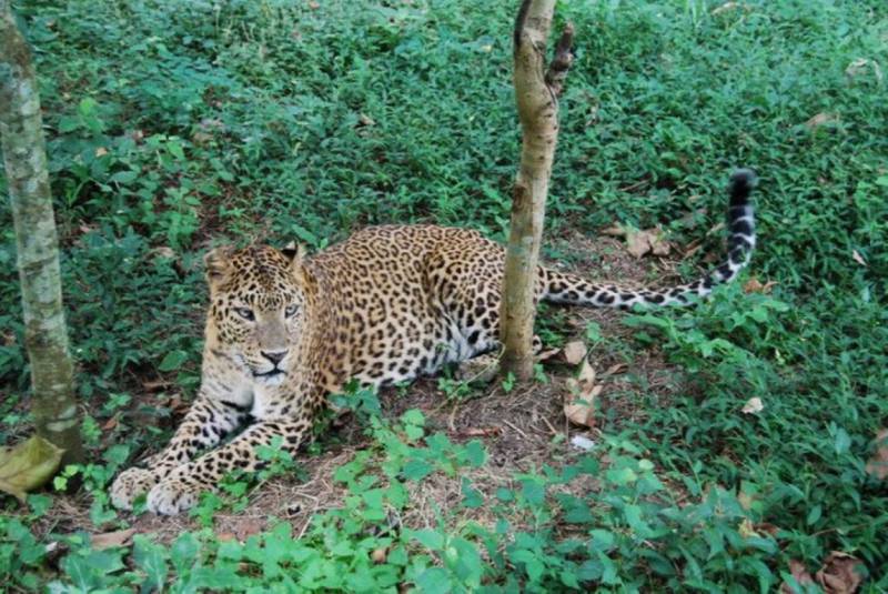 Dooars Tour - River, Bird, Rhino