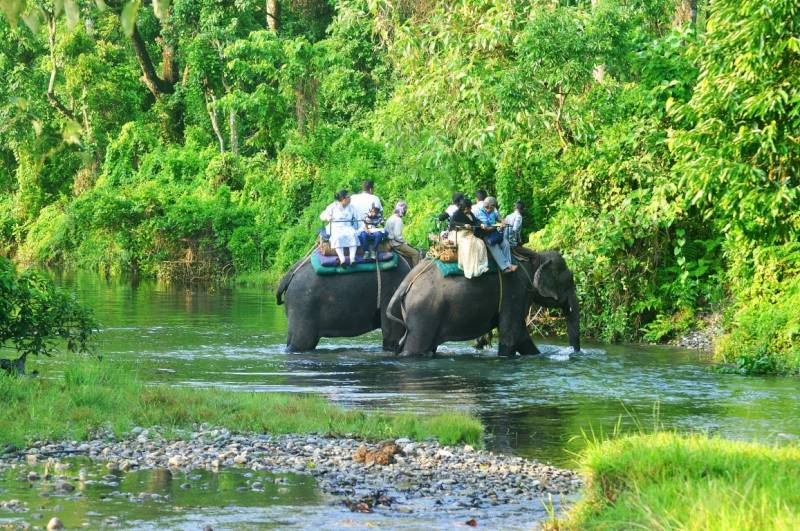 Dooars Tour - River, Bird, Rhino