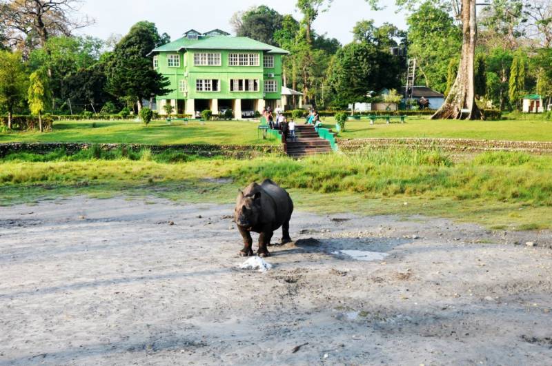 Dooars Tour - River, Bird, Rhino