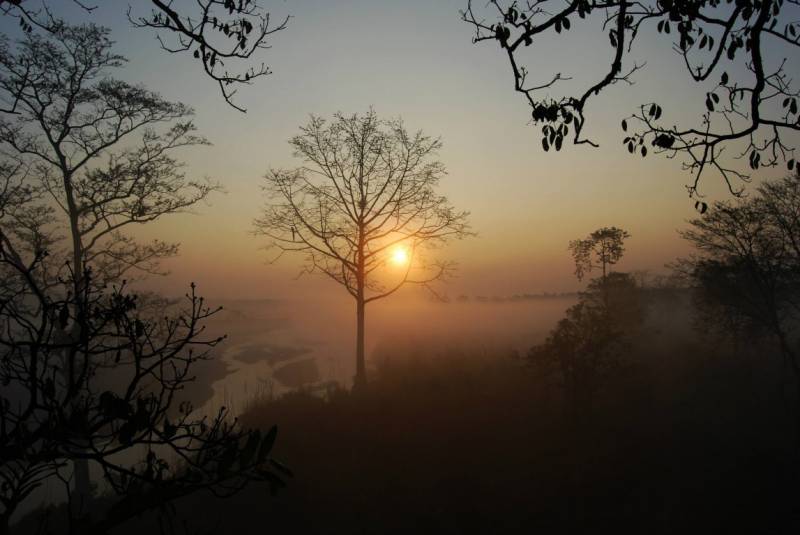 Dooars Tour - River, Bird, Rhino