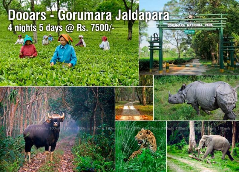 Dooars Tour - River, Bird, Rhino