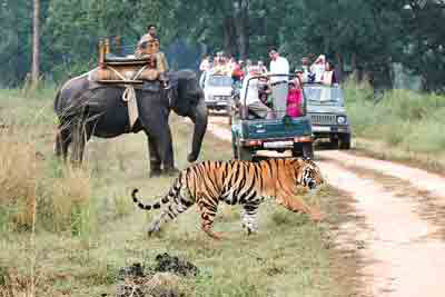 Madhya Pradesh Delight Package