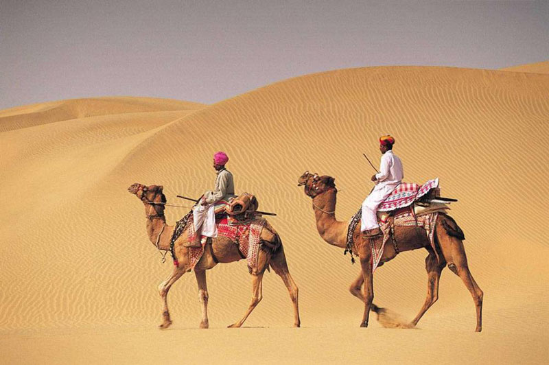 Rajasthan Where History Meets Nature Package