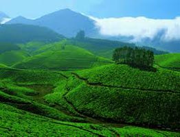 Hills Of Kerala Tour