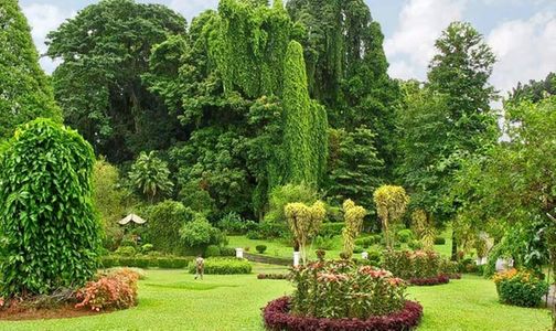 Serene Sri Lanka Tour