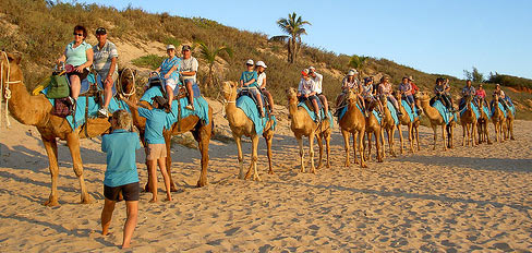 Rajasthan Camel Opera Tour