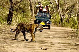 North India Vacations Tour By Car