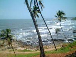 Arrive Goa airport / Railway Station, transfer to Hotel. Overnight at Hotel Tour