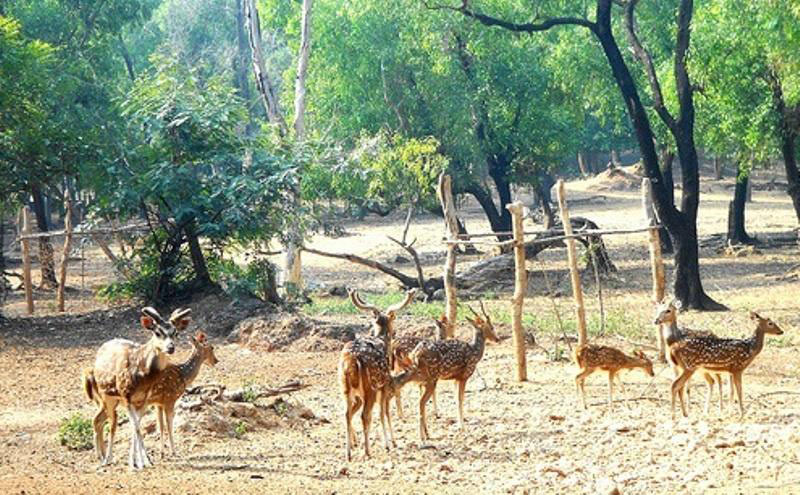 Heritage & Cultural Tour