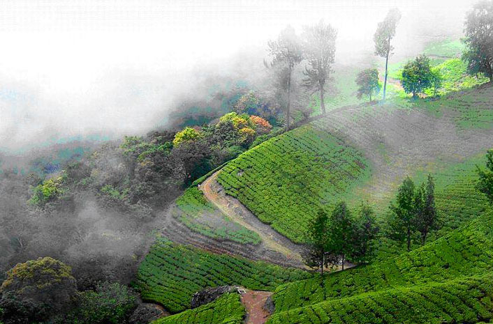 Kerala Escape into Nature Tour