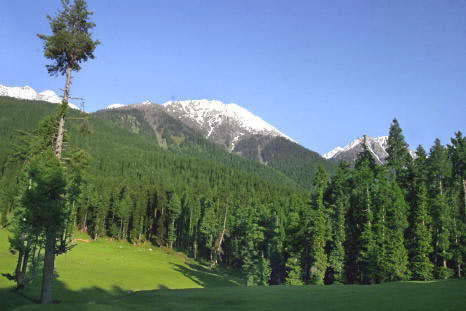 Beautiful Kashmir Tour
