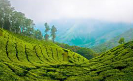 Natural Beauty Of Kerala