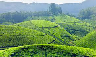 Exotic Kerala Tour