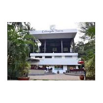 Relaxing Goa On Calangute Beach Tour