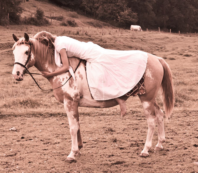 Shamanic Horse work Journey