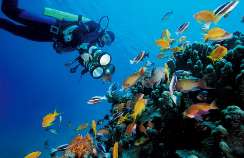 Diving Holiday in Jordan