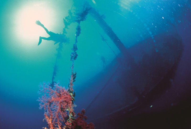 Diving Holiday in Jordan