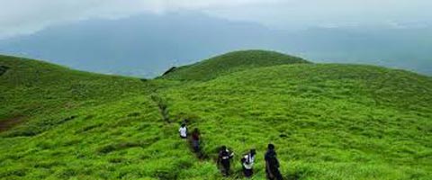Bangalore, Coorg, Ooty, Wayanad Tour