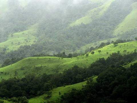 Wayanad Package