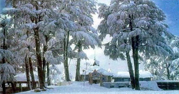 Shimal With Chandigrah Tour