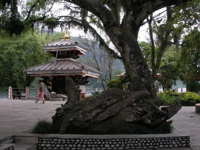 Temple Tree Resort & Spa Tour