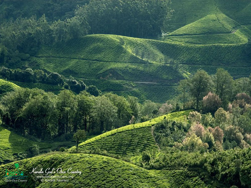 Best of Kerala Beach Package