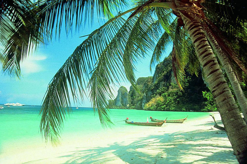 Amazing Thailand 1 Night Free