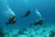 Andaman Tour Package