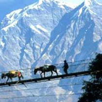 Gangtok - Lachen - Lachung - Pelling Tour Package
