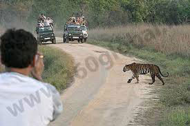 Unforgettable Kanha Tour