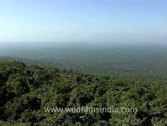 Unforgettable Kanha Tour