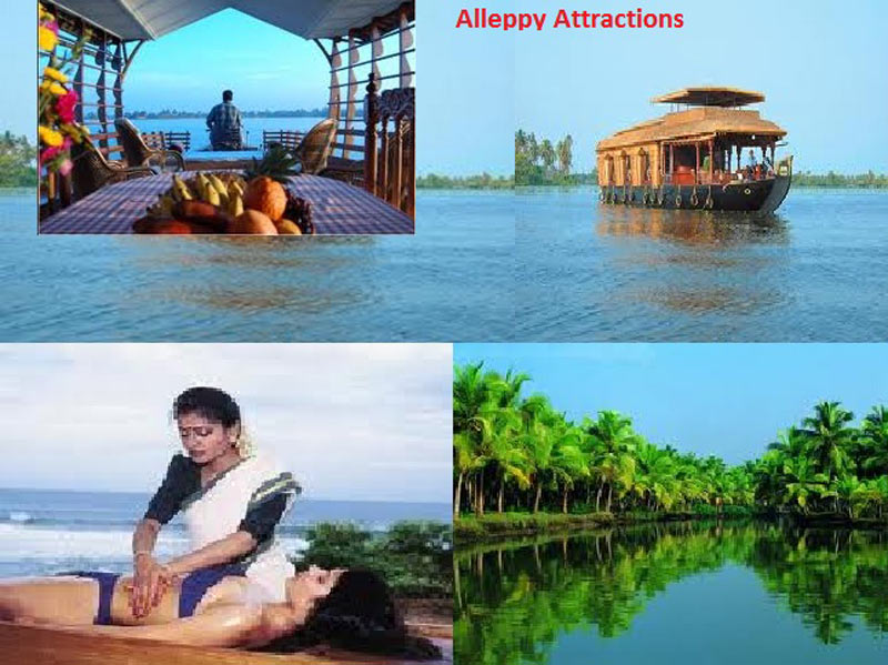 tour packages from chennai to wayanad
