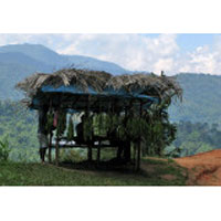 Malaysia Cameron Highlands Day Tour